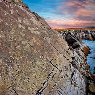 Rock face showing fossila at Mistaken Point Ecological Reserve