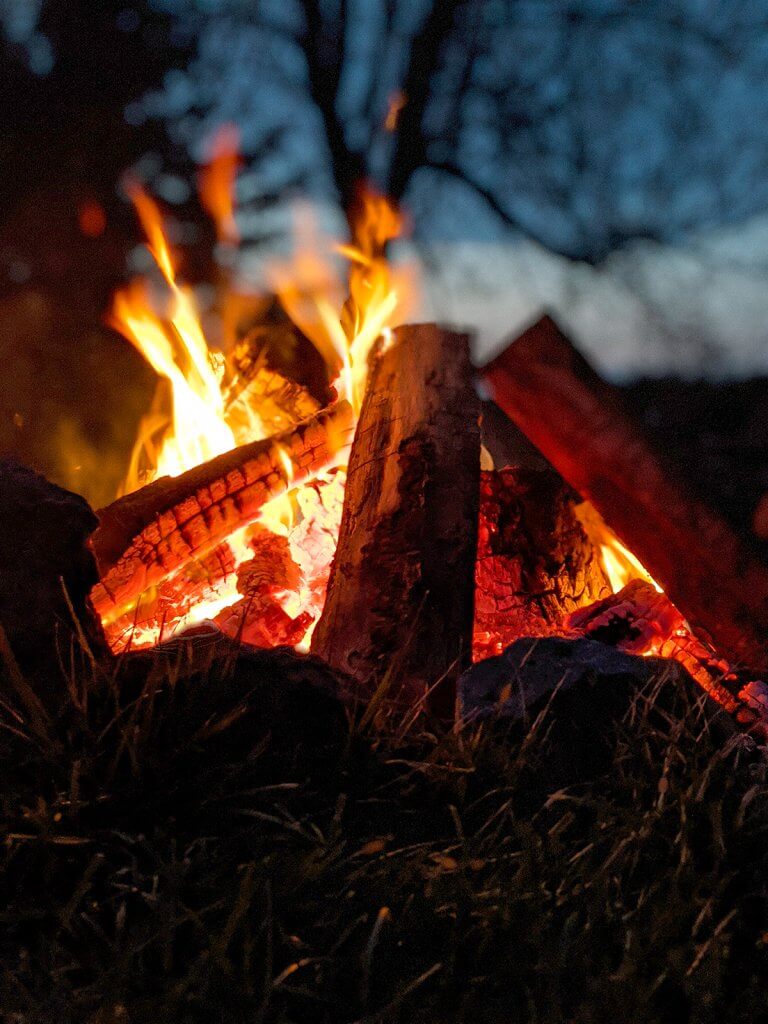 A bonfire burns outside in the evening, with trees in the background