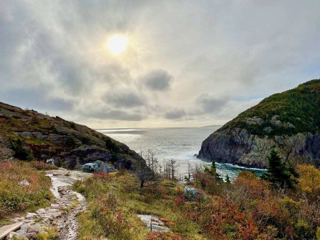 A spectacular view of the coastline and ocean with sugar loaf trail in the foreground. Plenty of pops of fall colours.