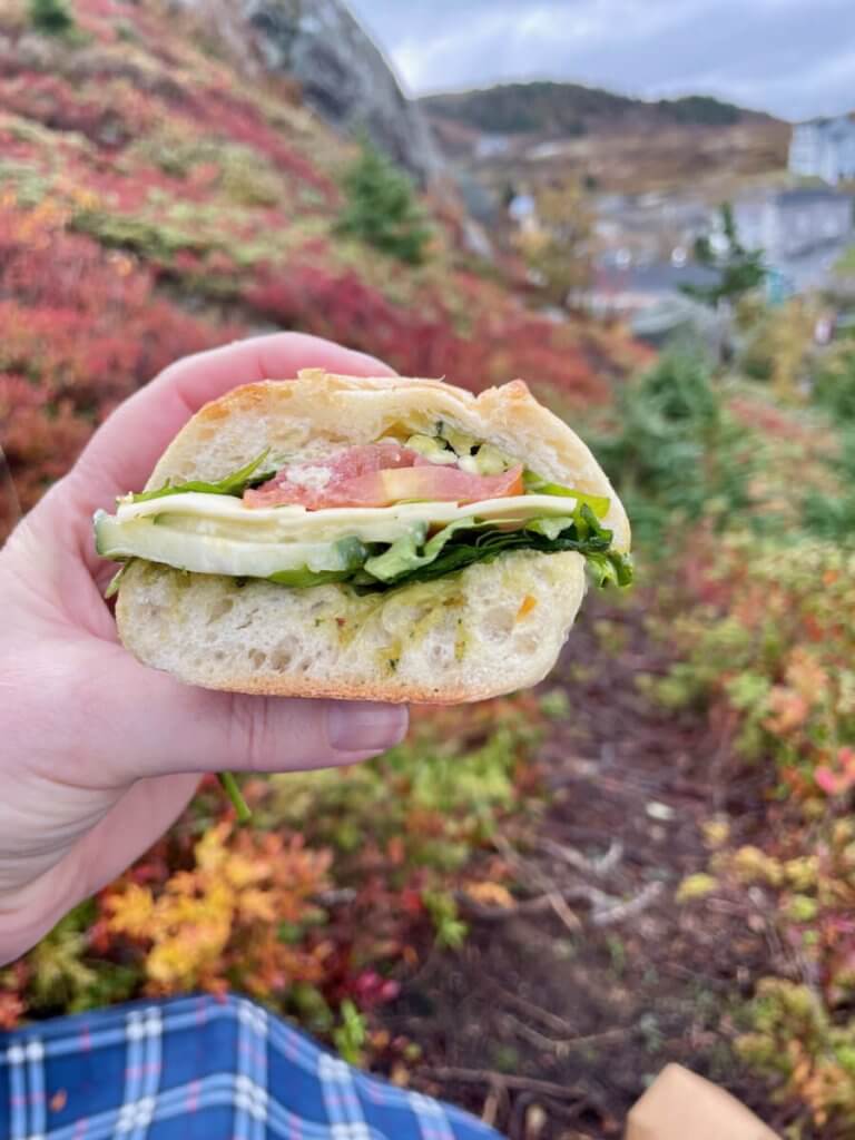 Close up of Little Sparo's sandwich with colourful hills in the background.