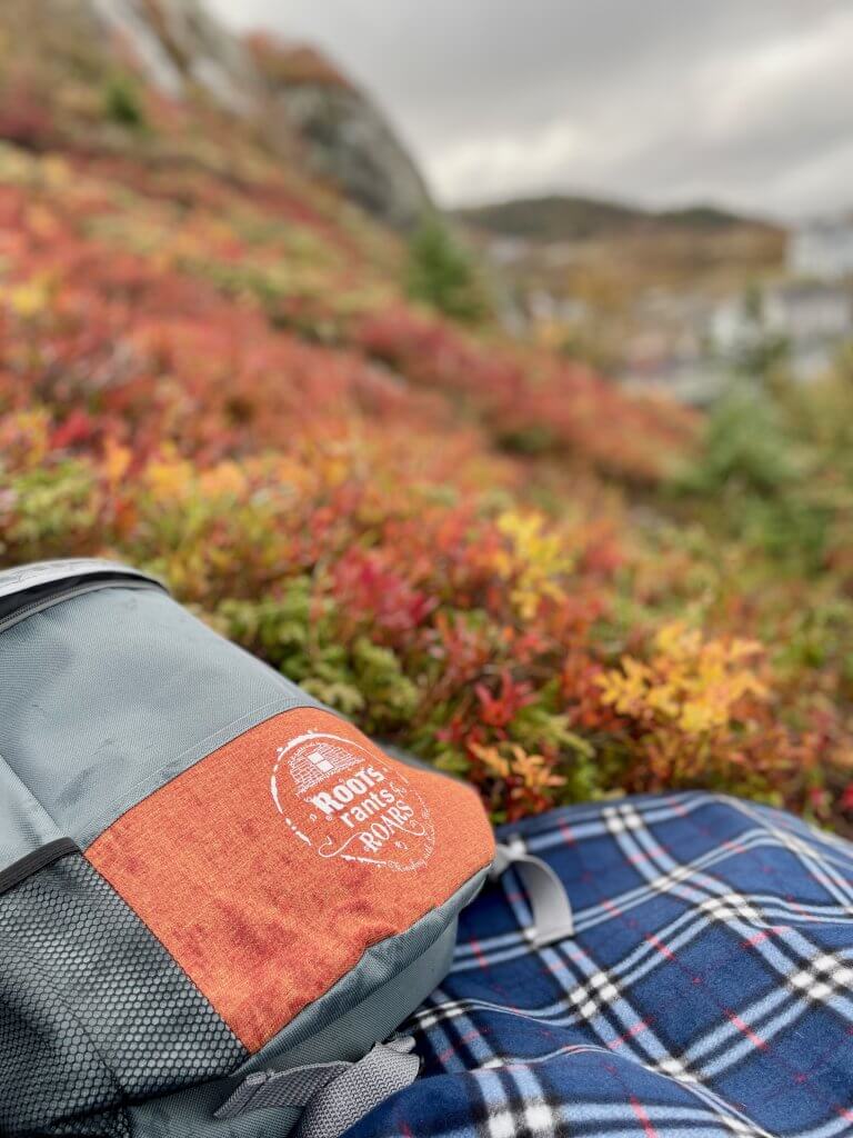 Our backpack nestled on the ground on top of a blue picnic blanket. Colourful bushes in the background.