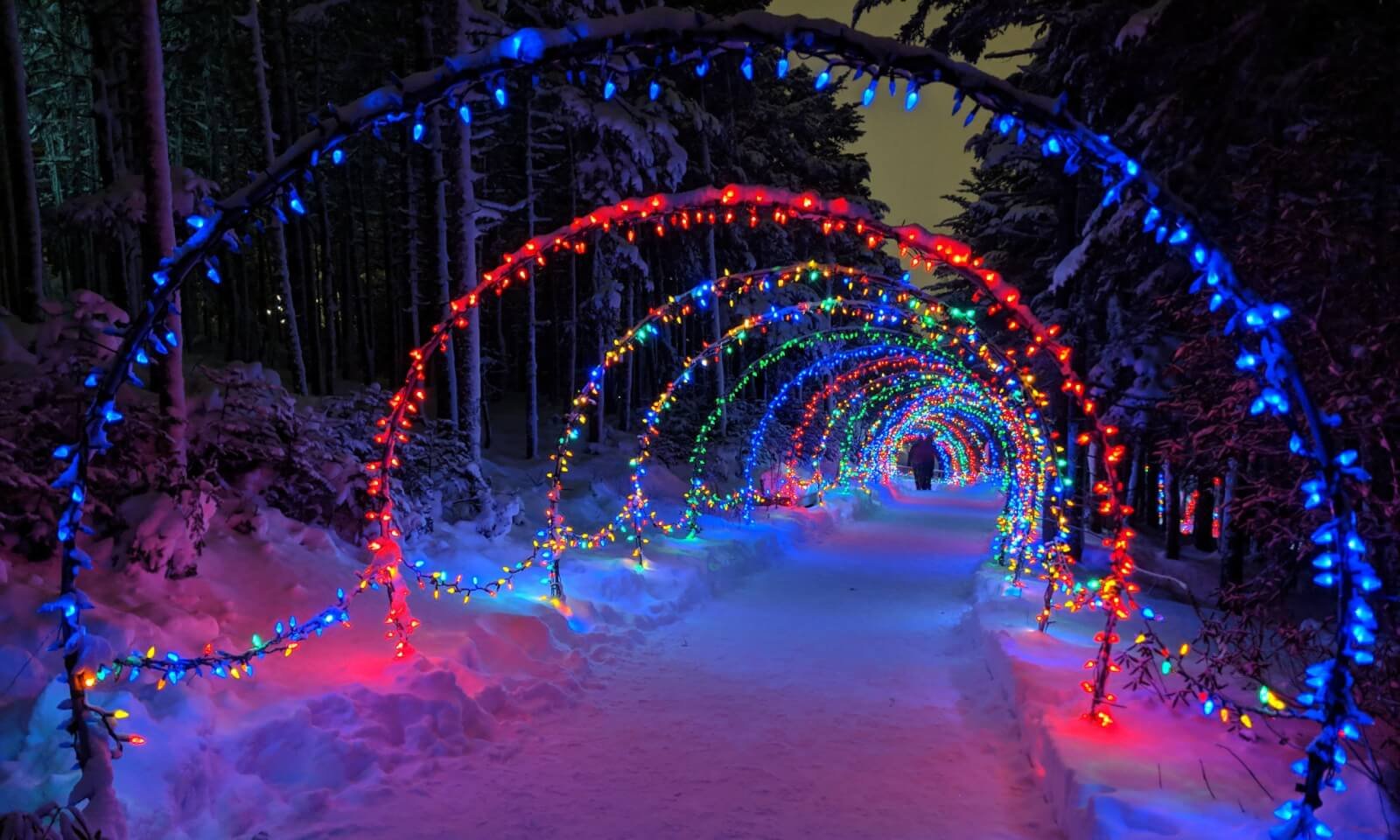 6 Must-See Holiday Light Displays in St. John’s - image