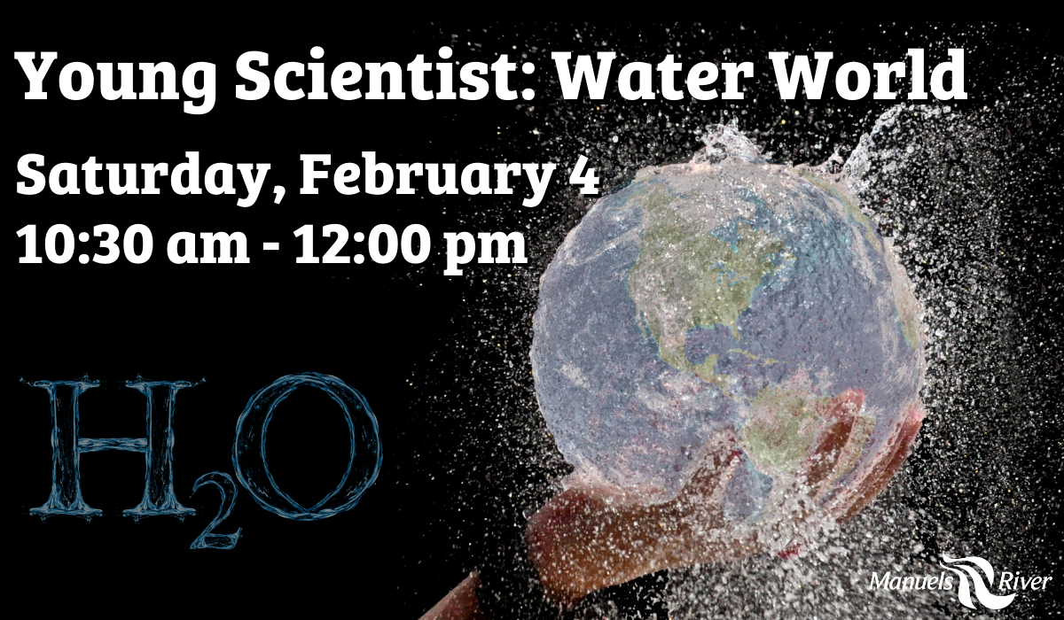 Young Scientist: Water World