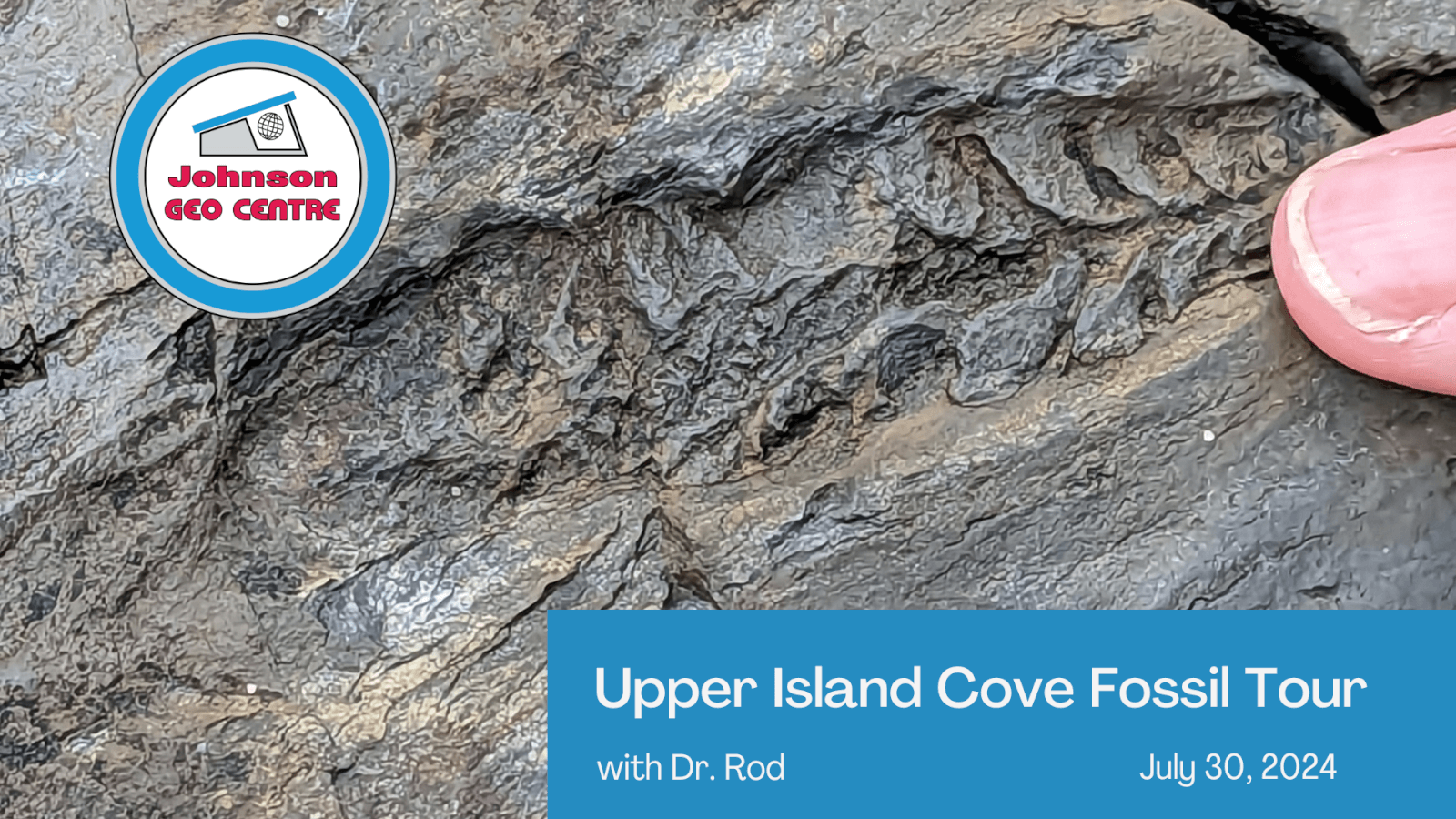 Upper Island Cove Fossil Tour